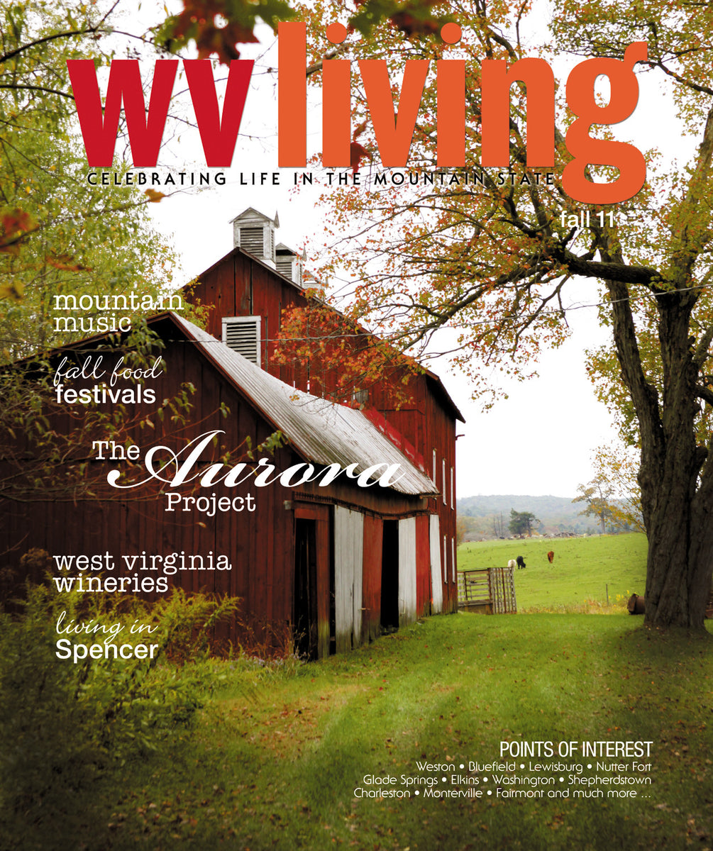 WV Living Fall 2011 – New South Media Shop
